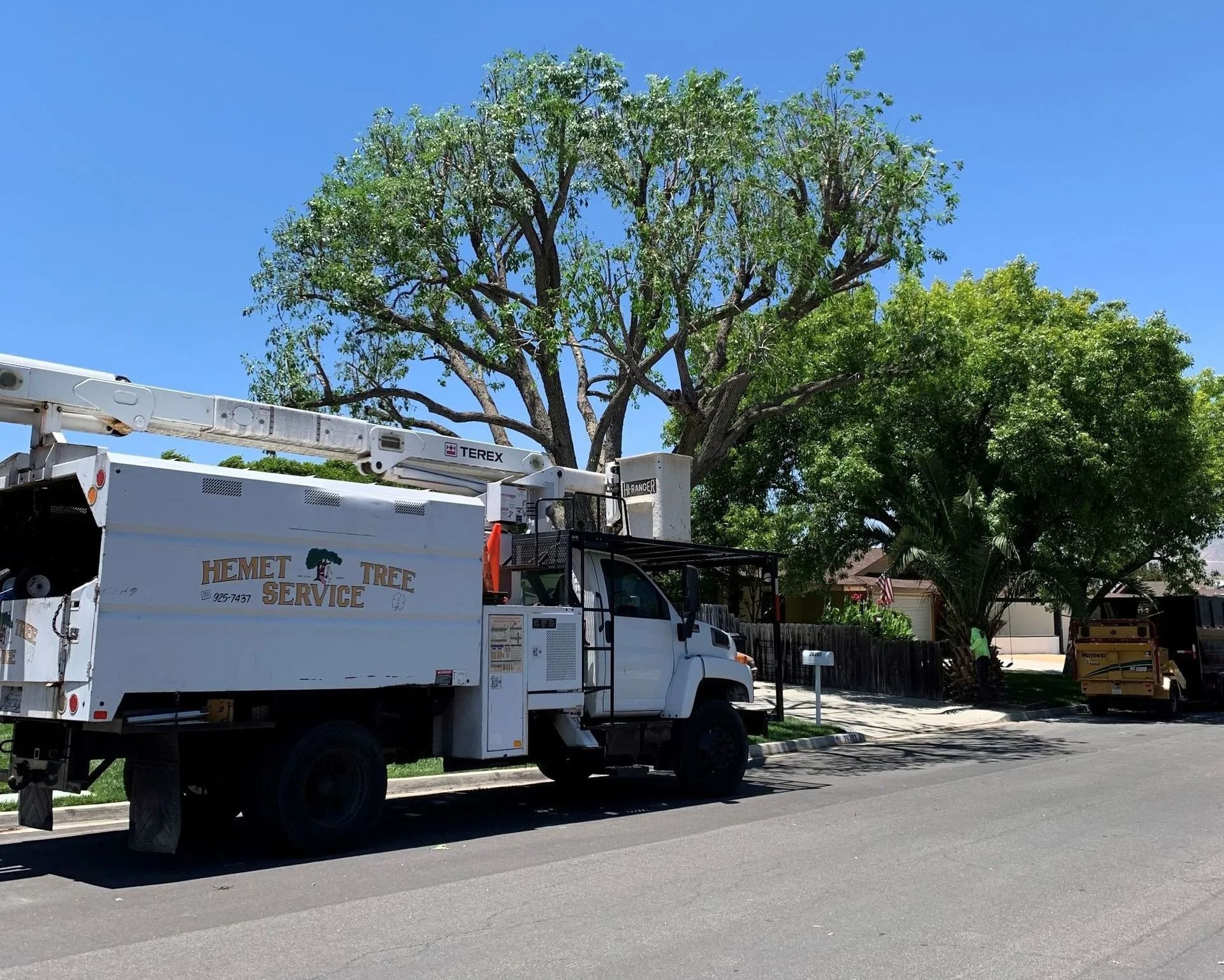 Tree Care Blog