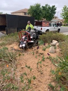 Hazard cleared — storm cleanup