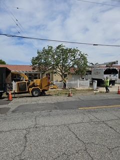 Fire Abatement Deadlines in Riverside County: What Homeowners Need to Know — Hemet Tree Service blog