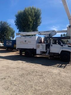 Tree removed — site cleared