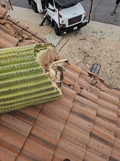 Storm cleanup — completed