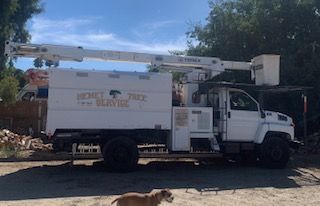Hemet Tree Service trucks on a job