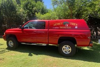 Tree removal project
